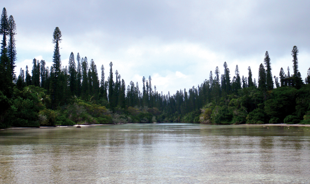 Chronique New Caledonie