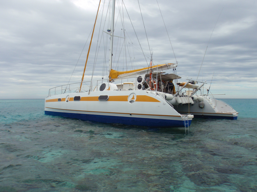 Chronique Pacifique Ouest- à l'épreuve du corail