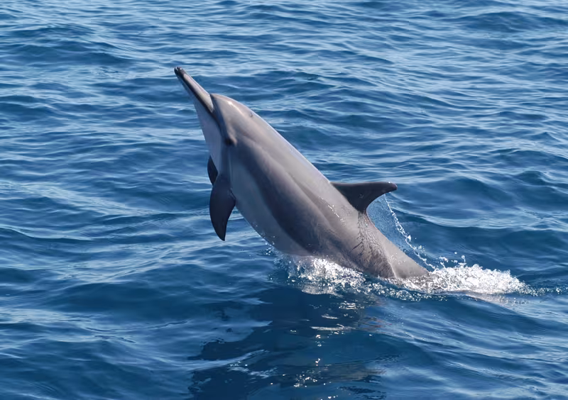 Mayotte en catamaran…