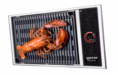 Barbecue électrique