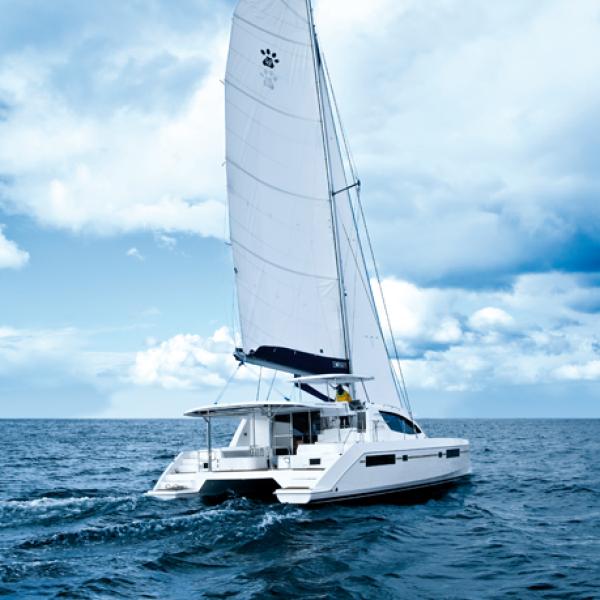 Le Leopard 48 est un catamaran typé, dans le bon sens du terme…
