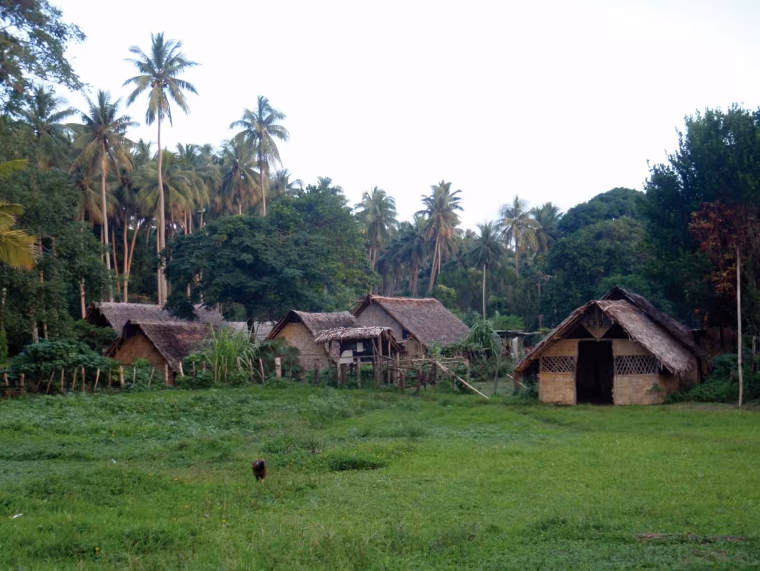 Les cases traditionnelles du village de Saint-Joseph, en bordure de la jungle