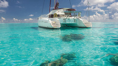 Suricat à Bora Bora : on adore, et on aime moins… 