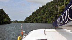 Madgic, le Rio Dulce ! 