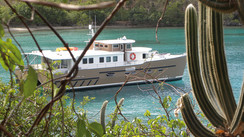Partir en catamaran : à la voile ou au moteur ? Choisir selon son programme, selon ses envies...