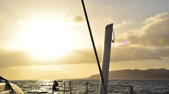 Tolimara : les Canaries