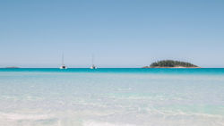 Whitsundays, navigations au paradis bleu…