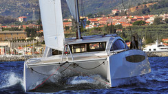 C-Cat 37 