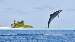 L’archipel des Chagos : égaré dans l’Indien infernal
