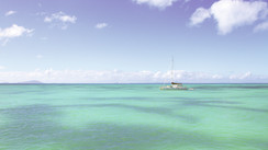 British Virgin Islands : l’alizé plein les voiles