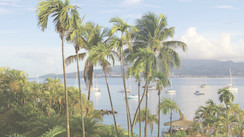 Martinique : L’île aux fleurs mérite bien une semaine !