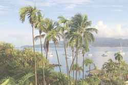 Martinique : L’île aux fleurs mérite bien une semaine !
