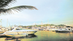 Cat & Terre à Santa Marta : une ville colorée, et bobo à soigner