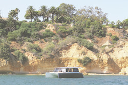 Essai : Cat 12.0 Cruise