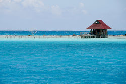 Partir en Multicoque