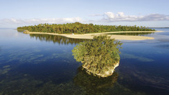 Tongatapu - Baleines, récifs et champignons