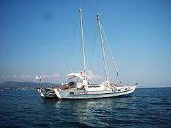 Tiki 38