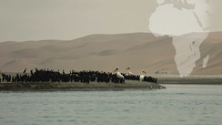 Namibie - Eaux froides et sables brûlants, le choc !