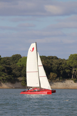 trimaran libertist 703