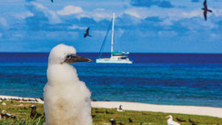 Nouvelle-Calédonie - L'ïle Surprise ou le paradis perdu