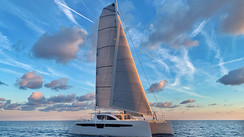 C-Cat 48