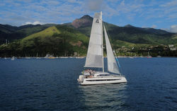 Sail Cat AG 49'