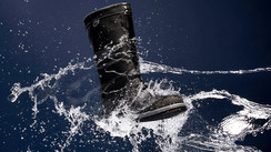 Ultima de Dubarry of Ireland