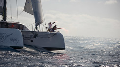 World Odyssey 25