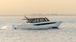 SilverCat 47