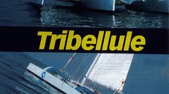 Tribellule