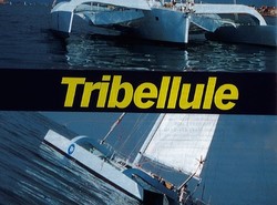 Essai : Tribellule