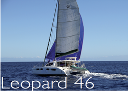 Essai : Leopard 46