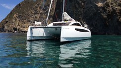 C-Cat 37