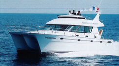 Catana Legend