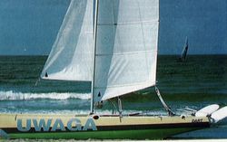 Dart 18