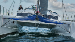 Dazcat 1295