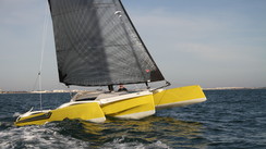 Dragonfly 25