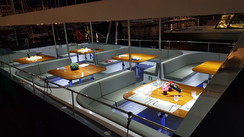 Flash Cat 53 Passenger