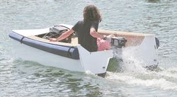 MiniCat Light Electric