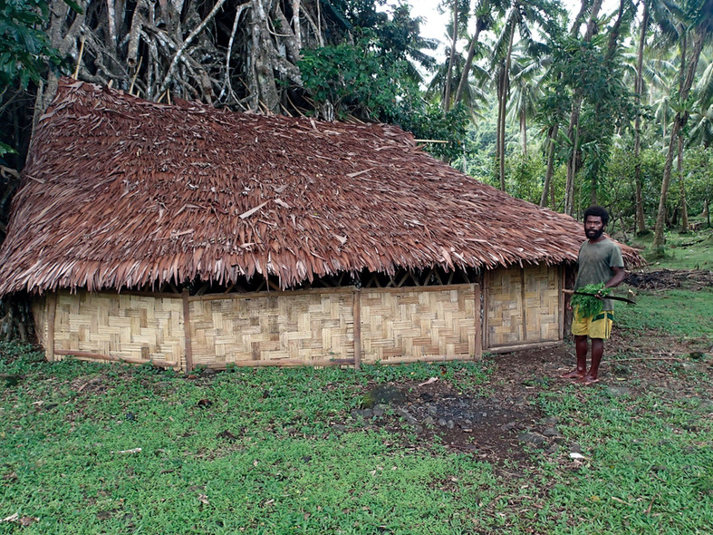 A la d_couverte de Vanuatu