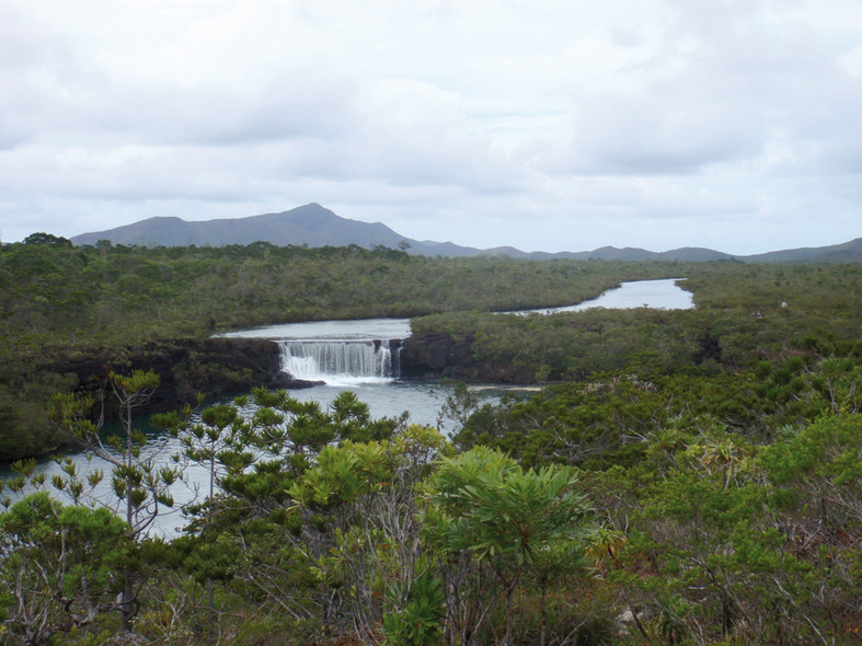 Chronique Nouvelle Caledonie