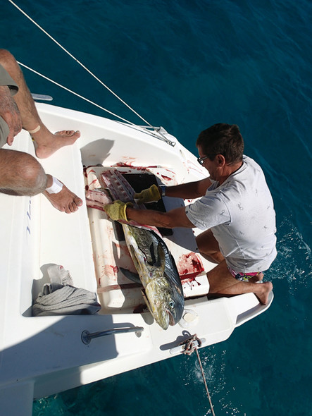 Croisière Vanuatu : pêche de fête