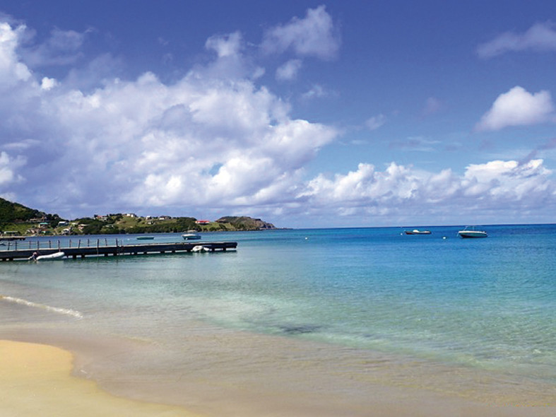 Spot des lecteurs indispensable