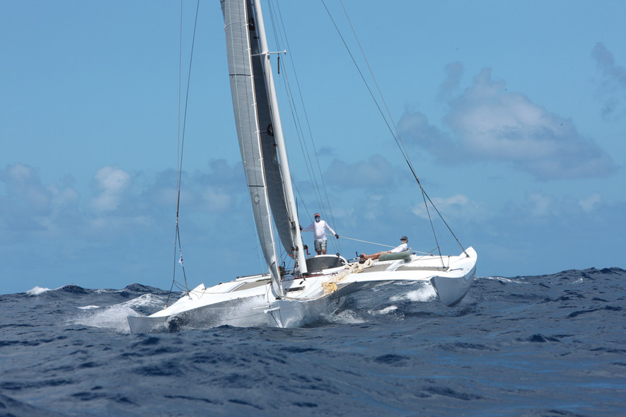 Trimaran Newick 50
