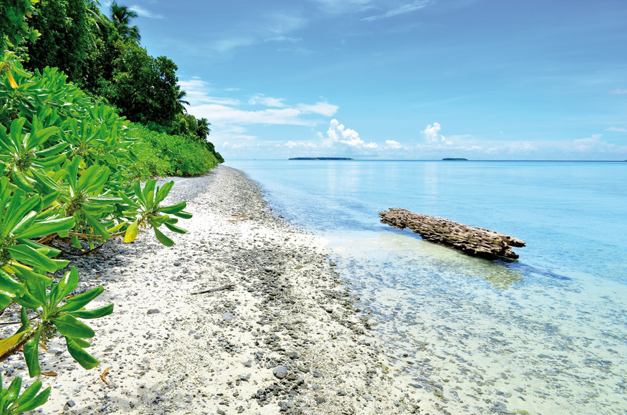 Un ado autour du monde