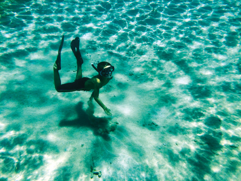 Cataja : Un an après