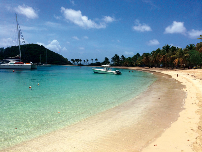 Cataja : Un an après