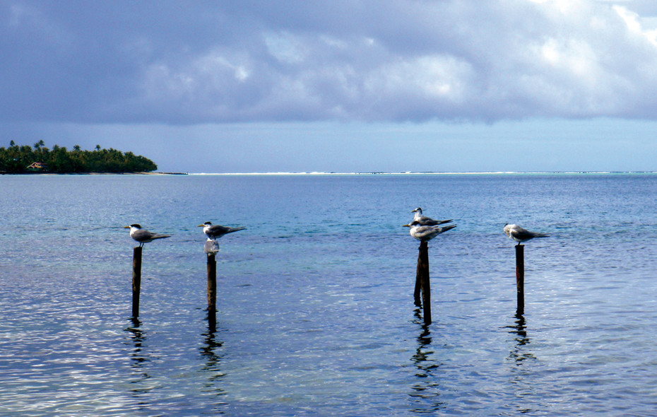 Chronique autour du monde : archipel de la Société