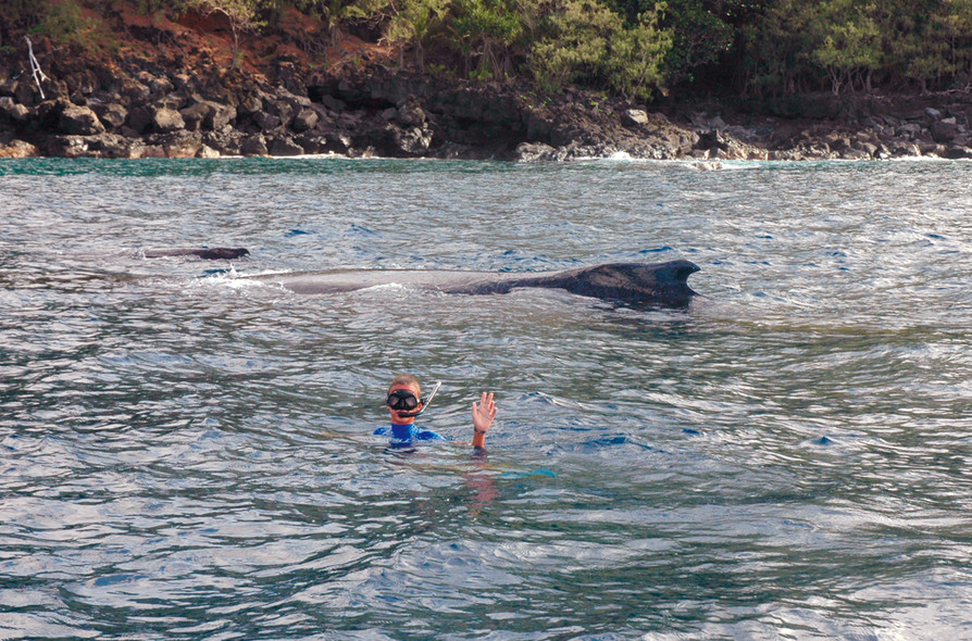 Chronique autour du monde Tofua