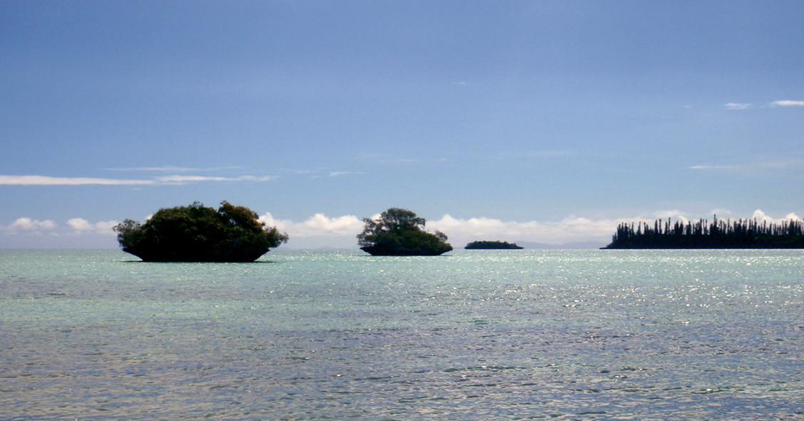 Chronique New Caledonie